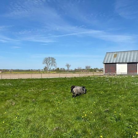 Oesterlen Oasis Spjutstorp エクステリア 写真
