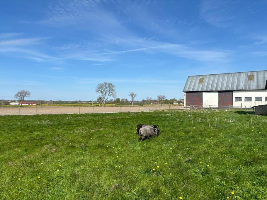 Oesterlen Oasis Spjutstorp エクステリア 写真
